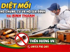 Diệt mối cho chung cư và hộ gia đình tại Bình Thạnh