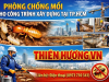 Phòng chống mối cho công trình xây dựng tại TPHCM