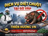 Dịch vụ diệt chuột tại Gò Vấp