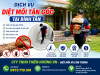 Dịch vụ diệt mối tận gốc tại Bình Tân