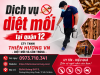 Dịch vụ diệt mối tại quận 12 