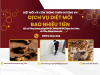 Dịch vụ diệt mối bao nhiêu tiền