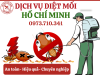 Dịch vụ diệt mối tại HCM