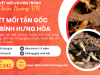 Diệt mối tận gốc tại Bình Hưng Hòa