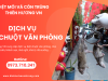 Dịch vụ diệt chuột văn phòng