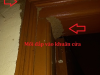 Dịch vụ diệt mối Quận 12 – Giải pháp bảo vệ công trình và nội thất bền vững