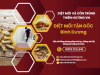 Dịch vụ diệt mối tại Bình Dương