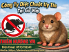 Công ty diệt chuột uy tín tại Gò Vấp