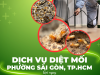 Dịch vụ diệt mối  q1