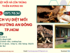 Dịch vụ diệt mối phường An Đông, TP.HCM