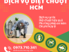 Dịch vụ diệt chuột uy tín tại HCM