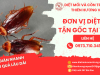 Đơn vị diệt gián tận gốc tại TPHCM
