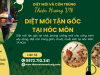 Diệt mối tận gốc tại Hóc Môn