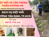 Dịch vụ diệt mối phường Tân Định, TP.HCM
