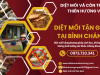 Diệt mối tận gốc tại Bình Chánh