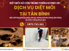 Dịch vụ diệt mối tại Tân Bình