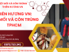 Thiên Hương VN: diệt mối và côn trùng TPHCM