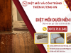 Diệt mối dưới nền nhà