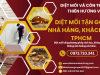 Diệt mối tận gốc nhà hàng, khách sạn TPHCM