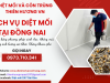 Dịch vụ diệt mối tại Đồng Nai