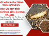 Dịch vụ diệt mối  Bình Dương, TP.HCM