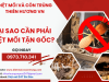 Tại sao cần phải diệt mối tận gốc?