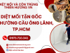 Diệt mối tận gốc phường Cầu Ông Lãnh, TP.HCM