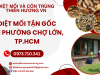 Diệt mối tận gốc tại phường Chợ Lớn, TP.HCM