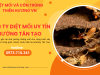 Công ty diệt mối uy tín phường Tân Tạo 