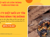 Công ty diệt mối uy tín phường Bình Trị Đông