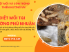 Diệt mối tại phường Phú Nhuận 