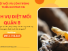 Dịch vụ diệt mối quận 8