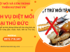 Dịch vụ diệt mối tại Thủ Đức