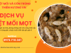 Dịch vụ diệt mối mọt