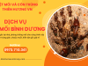 Dịch vụ diệt mối Bình Dương 