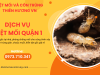 Dịch vụ diệt mối quận 1