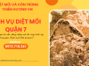 Dịch vụ diệt mối quận 7
