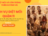 Dịch vụ diệt mối quận 11