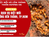 Dịch vụ diệt mối phường Bến Thành, TP.HCM