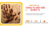 Công ty diệt mối quận 12