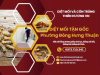 Diệt mối Quận 12