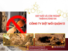 Công Ty Diệt Mối Quận 12 Uy Tín