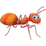 XỬ LÝ CÔN TRÙNG 