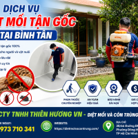 Dịch vụ diệt mối tận gốc tại Bình Tân