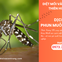 Dịch vụ phun muỗi tại TPHCM 