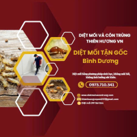 Dịch vụ diệt mối tại Bình Dương