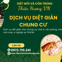 Dịch vụ diệt gián chung cư