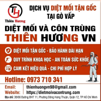 dịch vụ diệt mối tận gốc tại Gò Vấp