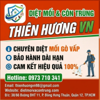 Diệt mối Gò Vấp