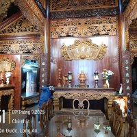 Dịch vụ diệt mối tại Long An
